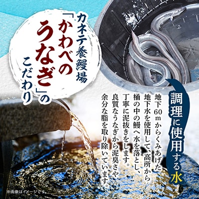 【浜名湖産 鰻】うなぎ蒲焼 約150g×10尾[かわべのうなぎ][産地直送][冷凍]