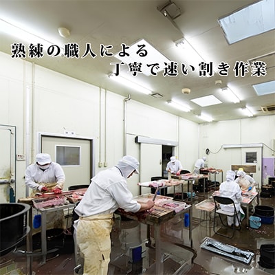 浜名湖産うなぎ　だし茶漬け食べ比べセット(計4食)