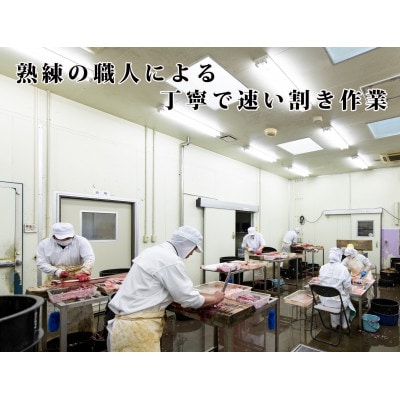 浜名湖産うなぎ　大・長蒲焼パック　4枚入り
