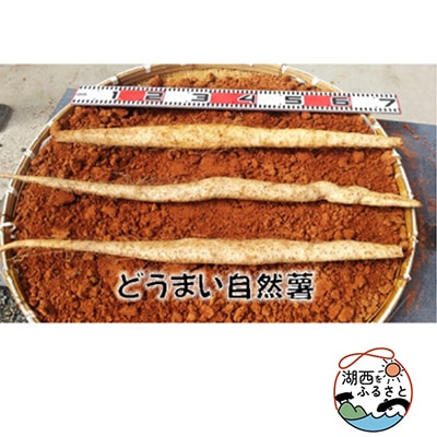 どうまい自然薯　500g位