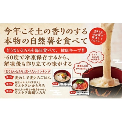 どうまいとろろ　すりおろし&だし汁セット×2セット