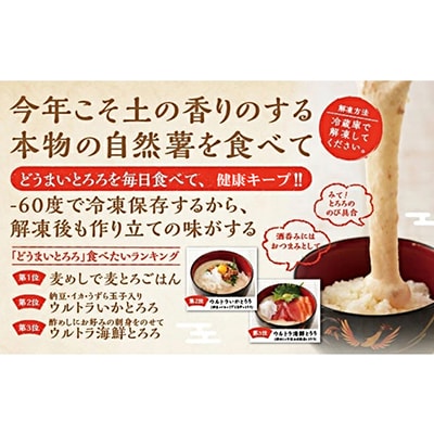 どうまいとろろ　すりおろし&だし汁セット×2セット