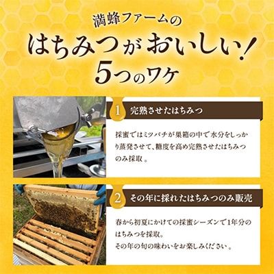 浜名湖ほとりで採れた天然はちみつ みなと百花はちみつ　1kg