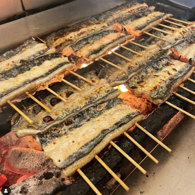 備長炭手焼きうなぎ蒲焼 約120g×10枚