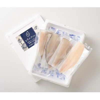 『伸東ヒラメ』×『津本式究極の血抜き』フィレ(生食用)