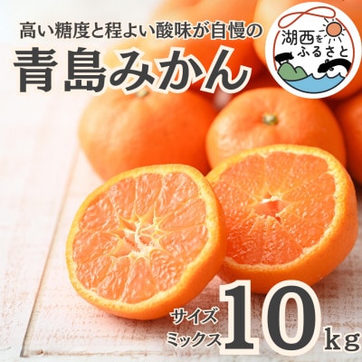 【先行受付】【2026年1月初旬頃より順次出荷予定】青島みかん約10kg サイズミックス〔鈴木農園〕