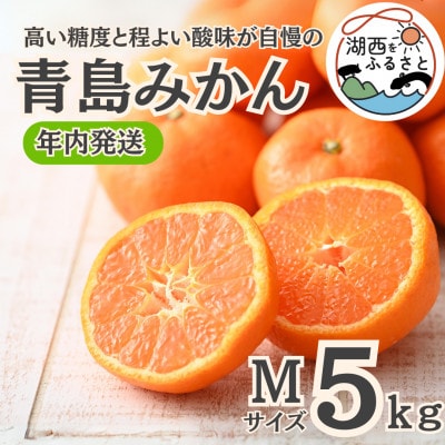 【年内発送】【12月中旬より順次出荷予定】青島みかん約5kg Mサイズ〔鈴木農園〕