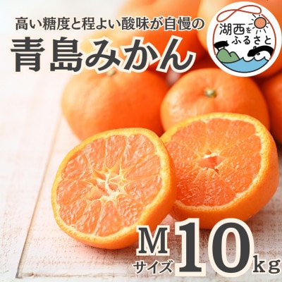 【先行受付】【2026年1月初旬頃より順次出荷予定】青島みかん約10kg Mサイズ〔鈴木農園〕