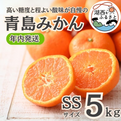 【年内発送】【12月より順次出荷予定】青島みかん約5kg SSサイズ〔鈴木農園〕