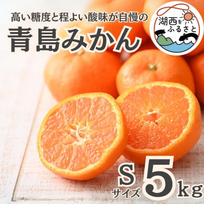 【先行受付】【2026年1月より順次出荷予定】青島みかん約5kg Sサイズ〔鈴木農園〕