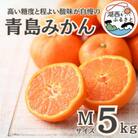 【先行受付】【2026年1月初旬頃より順次出荷予定】青島みかん約5kg Mサイズ〔鈴木農園〕