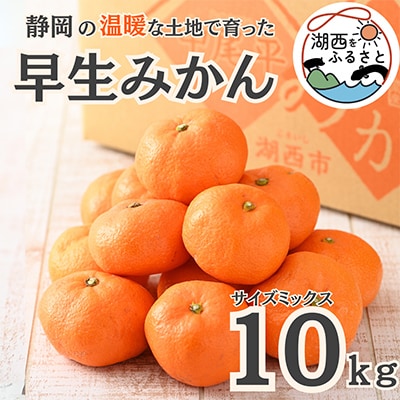 【先行受付】【11月上旬より順次出荷予定】早生みかん約10kg サイズミックス〔鈴木農園〕