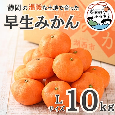 【先行受付】【11月上旬より順次出荷予定】早生みかん約10kg Lサイズ〔鈴木農園〕