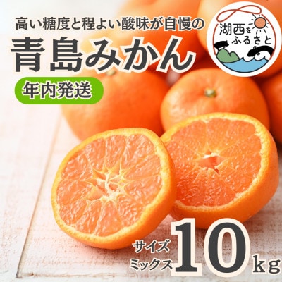 【年内発送】【12月中旬より順次出荷予定】青島みかん約10kgサイズミックス〔鈴木農園〕