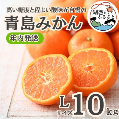 【年内発送】【12月中旬より順次出荷予定】青島みかん約10kg Lサイズ〔鈴木農園〕