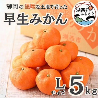 【先行受付】【11月上旬より順次出荷予定】早生みかん約5kg Lサイズ〔鈴木農園〕