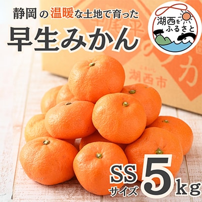 【先行受付】【11月上旬より順次出荷予定】早生みかん約5kg SSサイズ〔鈴木農園〕