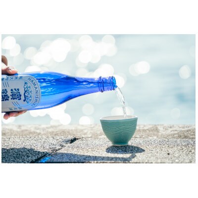 濱錦 純米大吟醸 720ml　1本と湖西焼き ぐい呑み 1個