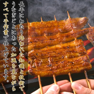 特撰浜名湖うなぎ蒲焼140g×2尾