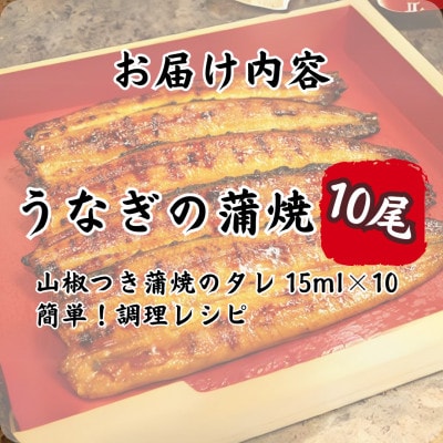 特撰浜名湖うなぎ蒲焼140g×10尾