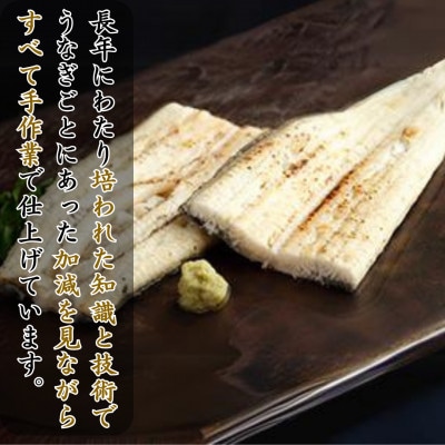 【蒲焼き用タレ付き】浜名湖うなぎ白焼き140g×5尾(冷凍・真空パック)