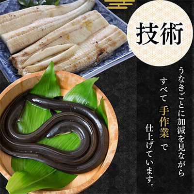 【蒲焼き用タレ付き】浜名湖うなぎ白焼き140g×7尾(冷凍・真空パック)