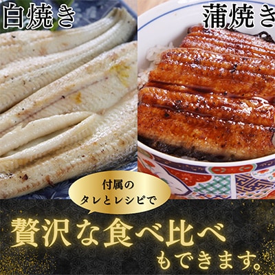 【蒲焼き用タレ付き】浜名湖うなぎ白焼き140g×7尾(冷凍・真空パック)