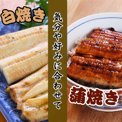 【蒲焼き用タレ付き】浜名湖うなぎ白焼き140g×10尾(冷凍・真空パック)