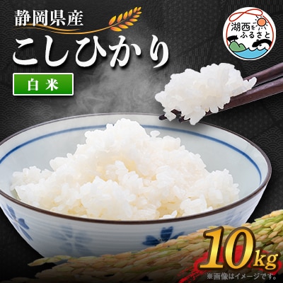 【2025年9月発送】こしひかり 白米 10kg