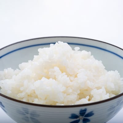 【2025年9月発送】こしひかり 白米 10kg