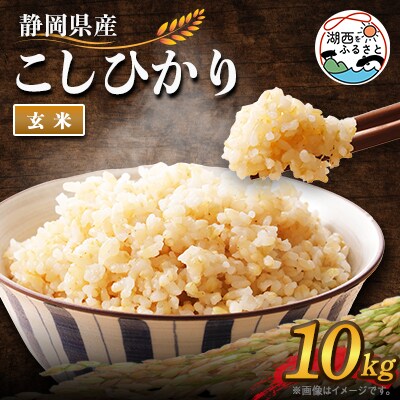 【2025年9月発送】こしひかり 玄米 10kg