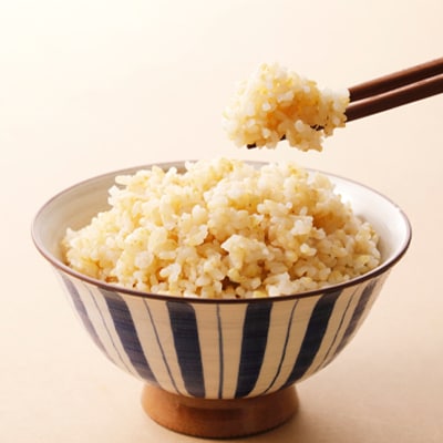 【2025年9月発送】こしひかり 玄米 30kg