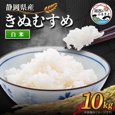 【2025年10月発送】きぬむすめ 白米 10kg