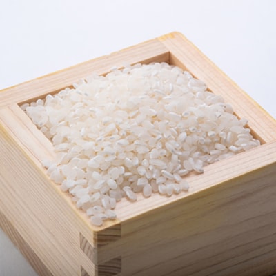 【2025年10月発送】きぬむすめ 白米 10kg