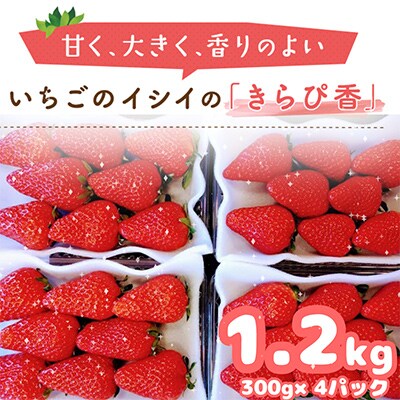 【静岡県産いちご】きらぴ香300g×4パック
