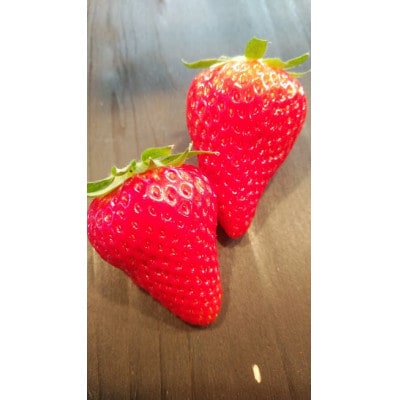 【静岡県産いちご】きらぴ香300g×4パック