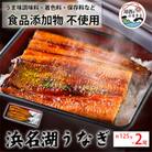 食品添加物不使用の浜名湖うなぎ　蒲焼2尾(約125g×2)