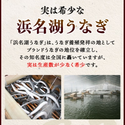 食品添加物不使用の浜名湖うなぎ　長蒲焼1尾(約180g×1)大きなうなぎなので脂ノリノリです!