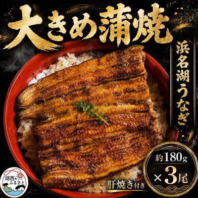 食品添加物不使用の浜名湖うなぎ　長蒲焼3尾(約180g×3)大きなうなぎで脂ノリノリです!肝焼き付き