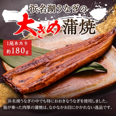 食品添加物不使用の浜名湖うなぎ　長蒲焼6尾(約180g×6)大きなうなぎで脂ノリノリです!肝焼き付き
