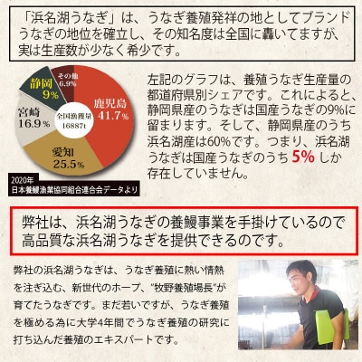 食品添加物不使用の浜名湖うなぎ蒲焼　約110g蒲焼×5尾(付属タレ×1、山椒×5)