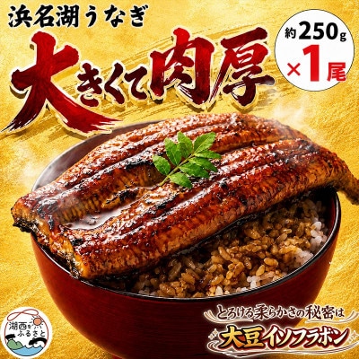 大豆イソフラボンで育てた浜名湖うなぎ蒲焼「やわら華」大きくて肉厚 (約250g×1尾)