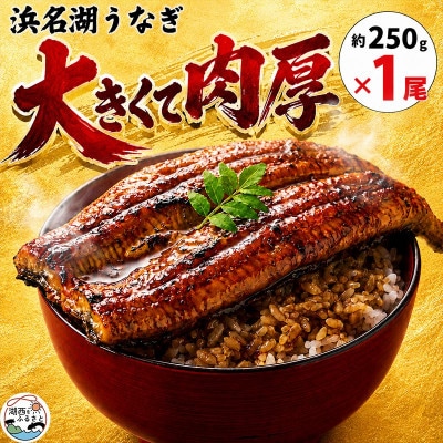 大豆イソフラボンで育てた浜名湖うなぎ蒲焼「やわら華」大きくて肉厚 (約250g×1尾)