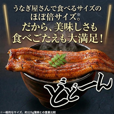 大豆イソフラボンで育てた浜名湖うなぎ蒲焼「やわら華」大きくて肉厚 (約250g×1尾)