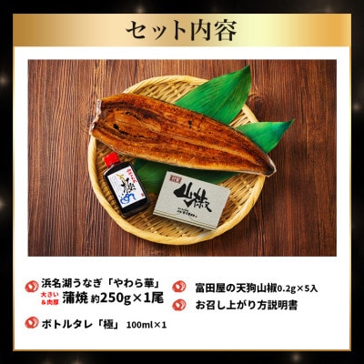 大豆イソフラボンで育てた浜名湖うなぎ蒲焼「やわら華」大きくて肉厚 (約250g×1尾)