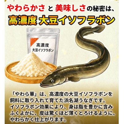 大豆イソフラボンで育てた浜名湖うなぎ蒲焼「やわら華」大きくて肉厚 (約250g×1尾)