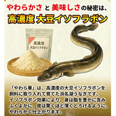 大豆イソフラボンで育てた浜名湖うなぎ蒲焼「やわら華」大きくて肉厚 (約200g×2尾)