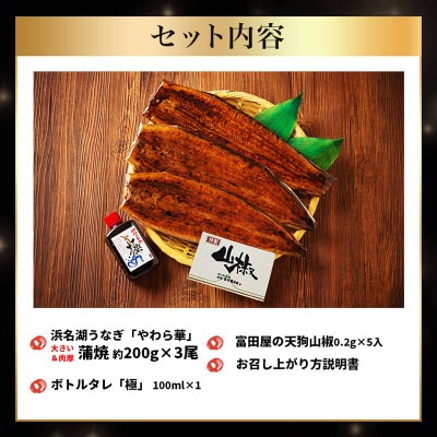 大豆イソフラボンで育てた浜名湖うなぎ蒲焼「やわら華」大きくて肉厚 (約200g×3尾)