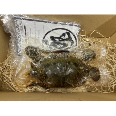 【浜名湖産】ワタリガニ(ガザミメス)カンジャンケジャン4杯