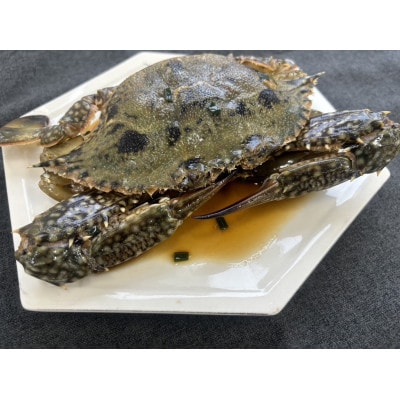 【浜名湖産】ワタリガニ(ガザミメス)カンジャンケジャン 2杯